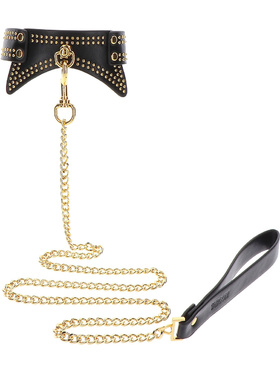 Taboom Vogue: Studded Collar and Leash