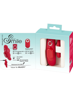 Sweet Smile: RC Panty Vibrator