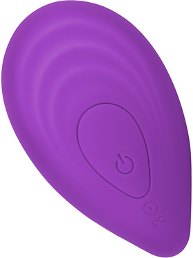 Teazers: Pleasure Vibrator with Remote