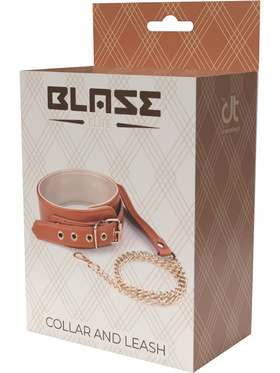 Dream Toys: Blaze, Elite Collar and Leash