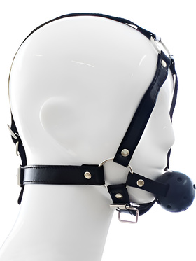 Toyz4Lovers: Fetish Art, Face Harness Gag