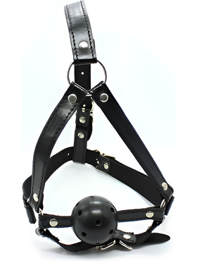 Toyz4Lovers: Fetish Art, Face Harness Gag