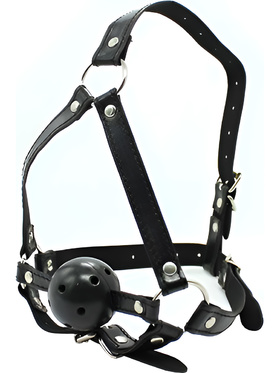 Toyz4Lovers: Fetish Art, Face Harness Gag