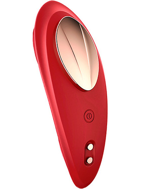 IntoYou: Panty Vibrator with App